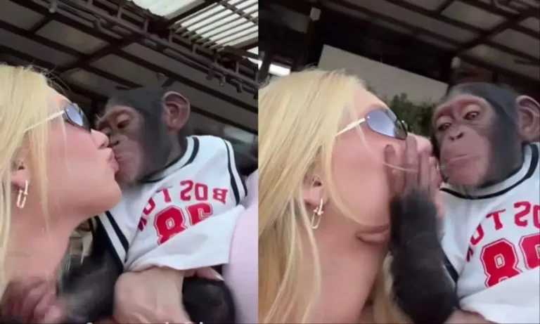 Virgínia causa revolta na web após vídeo beijando macaco em viagem